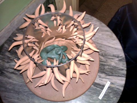 IMAG0921.jpg